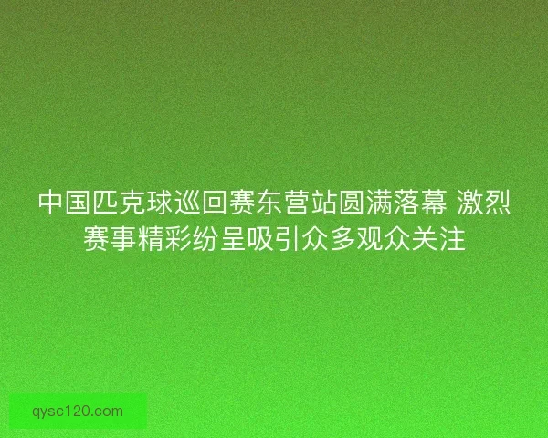 中国匹克球巡回赛东营站圆满落幕 激烈赛事精彩纷呈吸引众多观众关注